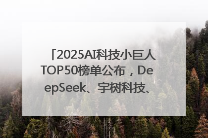 2025AI科技小巨人TOP50榜单公布，DeepSeek、宇树科技、蘑菇车联等企业荣誉上榜
