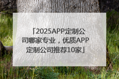 2025APP定制公司哪家专业，优质APP定制公司推荐10家