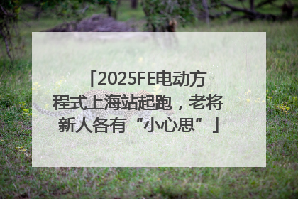 2025FE电动方程式上海站起跑，老将新人各有“小心思”