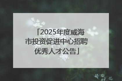 2025年度威海市投资促进中心招聘优秀人才公告