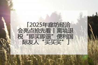 2025年廊坊经洽会亮点抢先看丨离境退税“即买即退”便利国际友人“买买买”