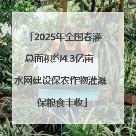 2025年全国春灌总面积约4.3亿亩 水网建设保农作物灌溉 保粮食丰收