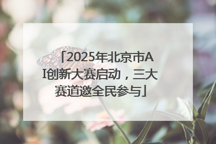 2025年北京市AI创新大赛启动，三大赛道邀全民参与