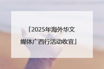 2025年海外华文媒体广西行活动收官