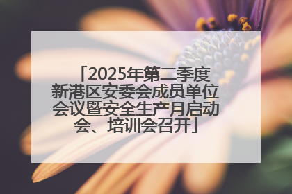 2025年第二季度新港区安委会成员单位会议暨安全生产月启动会、培训会召开
