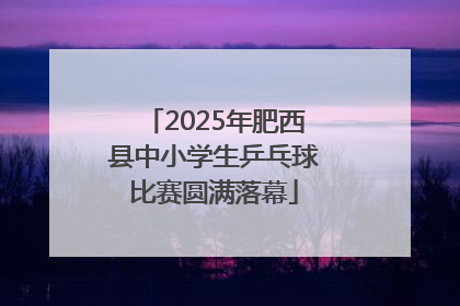 2025年肥西县中小学生乒乓球比赛圆满落幕