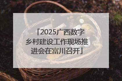 2025广西数字乡村建设工作现场推进会在富川召开