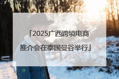 2025广西跨境电商推介会在泰国曼谷举行