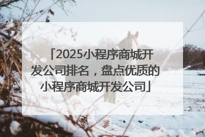 2025小程序商城开发公司排名，盘点优质的小程序商城开发公司