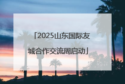 2025山东国际友城合作交流周启动