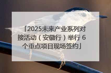 2025未来产业系列对接活动（安徽行）举行 6个重点项目现场签约