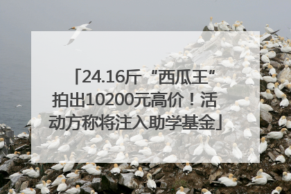 24.16斤“西瓜王”拍出10200元高价！活动方称将注入助学基金