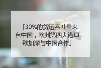 30%的货运吞吐量来自中国，欧洲第四大港口欲加深与中国合作