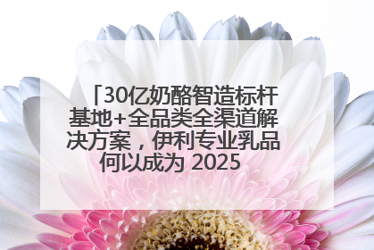 30亿奶酪智造标杆基地+全品类全渠道解决方案，伊利专业乳品何以成为 2025 焙烤展 MV