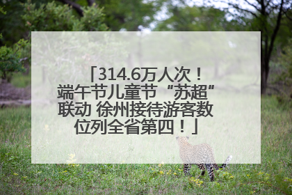 314.6万人次！端午节儿童节“苏超”联动 徐州接待游客数位列全省第四！