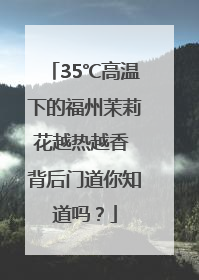 35℃高温下的福州茉莉花越热越香 背后门道你知道吗？