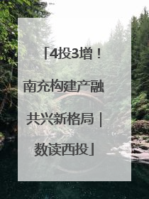 4投3增！南充构建产融共兴新格局｜数读西投
