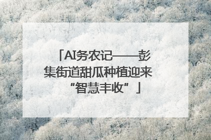 AI务农记——彭集街道甜瓜种植迎来“智慧丰收”