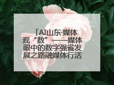 AI山东·媒体观“数”——媒体眼中的数字强省发展之路融媒体行活动启动