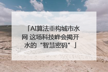 AI算法重构城市水网 这场科技峰会揭开水的“智慧密码”