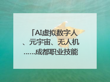 AI虚拟数字人、元宇宙、无人机……成都职业技能大赛启动
