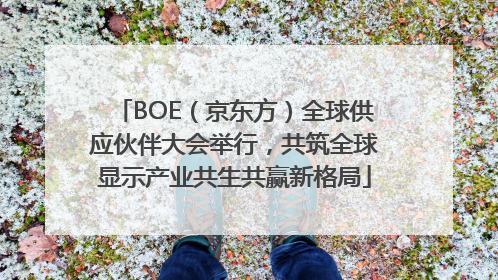 BOE（京东方）全球供应伙伴大会举行，共筑全球显示产业共生共赢新格局