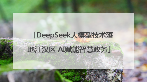 DeepSeek大模型技术落地江汉区 AI赋能智慧政务