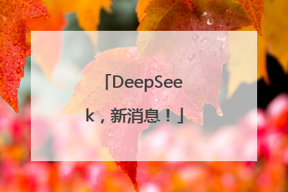 DeepSeek，新消息！